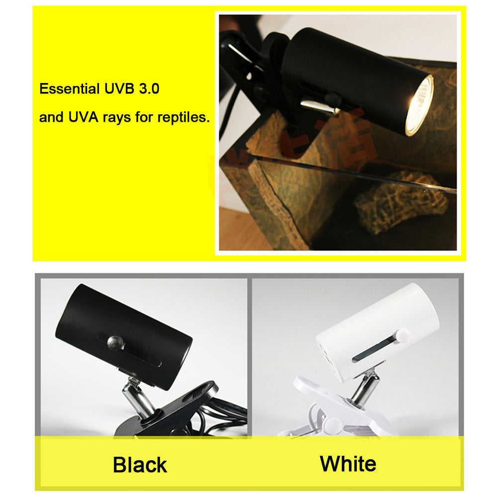 Reptile light stand